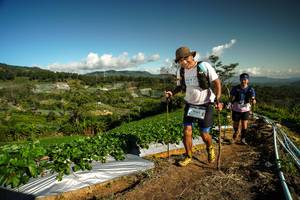 BIB: 2018
                            <button type="button" onclick="openModal(19123651)" class="btn btn-primary btn-sm float-right btn-popup" data-toggle="modal" data-target=".modal-high-quality">
                        <i class="fas fa-shopping-cart"></i> Add to Cart
                    </button>
                                            <button type="button" onclick="isThisMe(19123651, true)" class="btn btn-success btn-sm float-right btn-popup btn-isme hidden" data-toggle="tooltip" data-placement="bottom" title="นี่คือรูปของคุณใช่ไหม คลิกที่นี่เพื่อเอาเข้าอัลบั้ม">
                        <i class="fas fa-plus"></i> Add to album
                    </button>
                    <button type="button" onclick="isThisMe(19123651, false)" class="btn btn-warning btn-sm float-right btn-popup btn-isnotme hidden">
                        <i class="fas fa-ban"></i> Remove from album
                    </button>